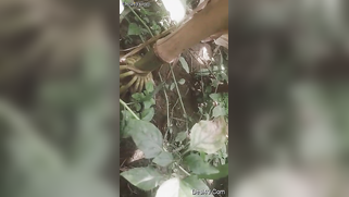 Indian thinks guy will be glad to film XXX video of her in the nude | XXX Video on AllSex.XXX