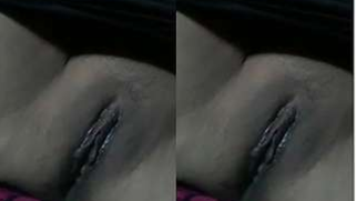 Desi girl performs sex show simply pulling panties down to show vagina | XXX Video on AllSex.XXX