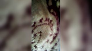 Taking excited Desi pussy to bed guy undresses her for subsequent sex | XXX Video on AllSex.XXX