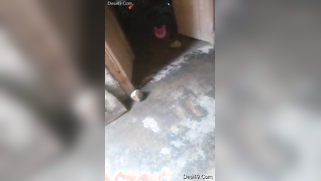 Woman takes a shower before amateur sex and Desi husband films her | XXX Video on AllSex.XXX