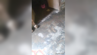 Woman takes a shower before amateur sex and Desi husband films her | XXX Video on AllSex.XXX