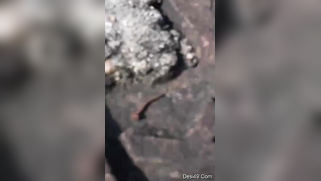 Desi neighbor taking a shower is the best XXX thing the man sees today | XXX Video on AllSex.XXX