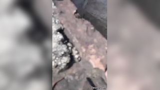 Desi neighbor taking a shower is the best XXX thing the man sees today | XXX Video on AllSex.XXX