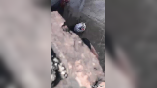 Desi neighbor taking a shower is the best XXX thing the man sees today | XXX Video on AllSex.XXX