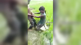 Worker sees Indian lovers who are going to have sex on the field | XXX Video on AllSex.XXX