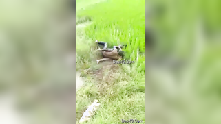 Worker sees Indian lovers who are going to have sex on the field | XXX Video on AllSex.XXX