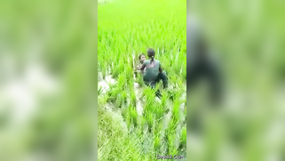 Worker sees Indian lovers who are going to have sex on the field | XXX Video on AllSex.XXX