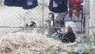 Village guy replenishes XXX collection with a Desi bathing outdoors | XXX Video on AllSex.XXX