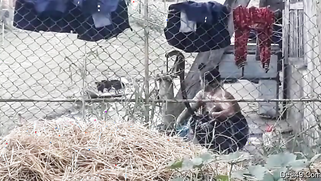 Village guy replenishes XXX collection with a Desi bathing outdoors | XXX Video on AllSex.XXX