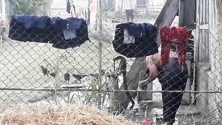 Village guy replenishes XXX collection with a Desi bathing outdoors | XXX Video on AllSex.XXX