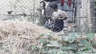 Village guy replenishes XXX collection with a Desi bathing outdoors | XXX Video on AllSex.XXX