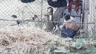 Village guy replenishes XXX collection with a Desi bathing outdoors | XXX Video on AllSex.XXX