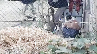 Village guy replenishes XXX collection with a Desi bathing outdoors | XXX Video on AllSex.XXX