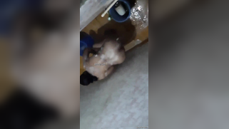 Risky lad sneaks into the bathroom to film the Desi washing her body | XXX Video on AllSex.XXX