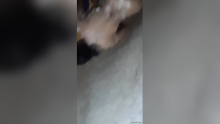 Risky lad sneaks into the bathroom to film the Desi washing her body | XXX Video on AllSex.XXX