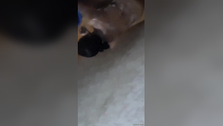 Risky lad sneaks into the bathroom to film the Desi washing her body | XXX Video on AllSex.XXX