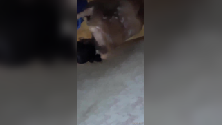 Risky lad sneaks into the bathroom to film the Desi washing her body | XXX Video on AllSex.XXX