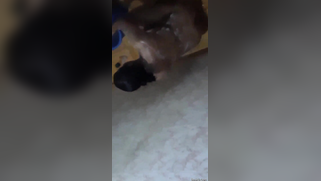 Risky lad sneaks into the bathroom to film the Desi washing her body | XXX Video on AllSex.XXX