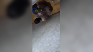 Risky lad sneaks into the bathroom to film the Desi washing her body | XXX Video on AllSex.XXX