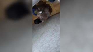 Risky lad sneaks into the bathroom to film the Desi washing her body | XXX Video on AllSex.XXX