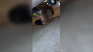 Risky lad sneaks into the bathroom to film the Desi washing her body | XXX Video on AllSex.XXX