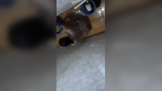 Risky lad sneaks into the bathroom to film the Desi washing her body | XXX Video on AllSex.XXX