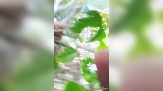 Naturalist sees Desi MILF with left breast out and focuses on it | XXX Video on AllSex.XXX