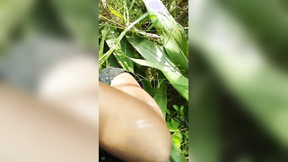 Field is a place where nobody will prevent the Indians from having sex | XXX Video on AllSex.XXX