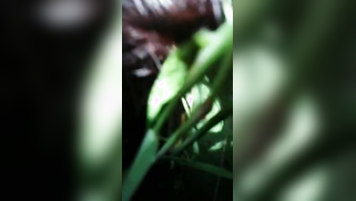 Field is a place where nobody will prevent the Indians from having sex | XXX Video on AllSex.XXX