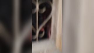 Kinky voyeur makes XXX video of naked Indian chick taking a shower