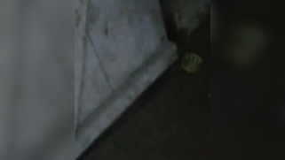 Kinky voyeur makes XXX video of naked Indian chick taking a shower | XXX Video on AllSex.XXX