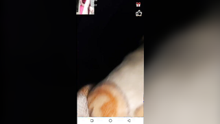 Amateur Desi lover plays with his GF's hairy pussy for XXX video | XXX Video on AllSex.XXX