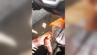 Mature Desi aunty sucks stranger's thick XXX boner in the fresh air