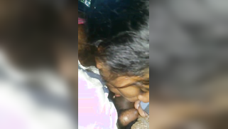 Modest Tamil teen brave enough to suck lover's XXX rod in backseat | XXX Video on AllSex.XXX