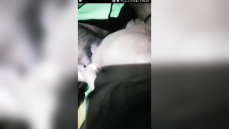 XXX clip of Desi guy fooling around on bed together with naked GF | XXX Video on AllSex.XXX