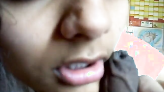 Obedient Desi gal pleases lucky devar with wonderful XXX cock sucking