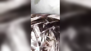 Beautiful Bhabhi lured into intense XXX chudai with excited devar | XXX Video on AllSex.XXX