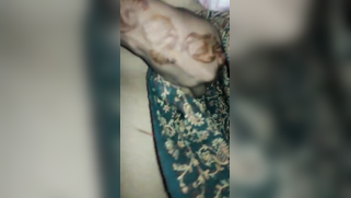 Playful Indian chick flashes her XXX pussy and ass to homeowner | XXX Video on AllSex.XXX