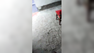 Boyfriend starts sex on camera with the Desi girl in amateur video | XXX Video on AllSex.XXX