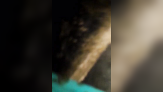 Desi whore has act of procreating with boy who films her being drilled | XXX Video on AllSex.XXX