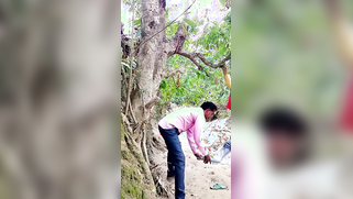 Indian MILF in colorful sari is fucked by her husband in the fresh air | XXX Video on AllSex.XXX