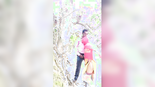 Indian MILF in colorful sari is fucked by her husband in the fresh air | XXX Video on AllSex.XXX