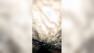 Delectable Desi is carnal with her boyfriend in front of the camera | XXX Video on AllSex.XXX