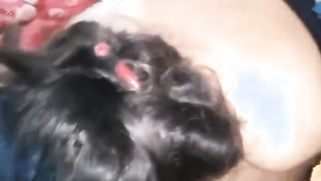 Indian wife in blue wears no panties during cunnilingus and blowjob | XXX Video on AllSex.XXX