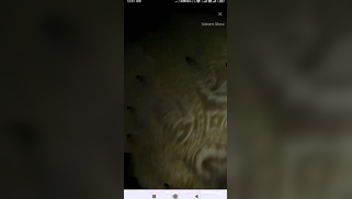 Girl holds penis in hand and hides face from camera in Indian sex clip | XXX Video on AllSex.XXX