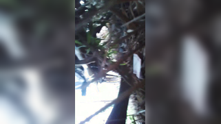 Knowing how to turn camera on Indian man films wife in the fresh air | XXX Video on AllSex.XXX