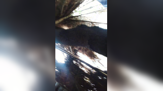 Knowing how to turn camera on Indian man films wife in the fresh air | XXX Video on AllSex.XXX