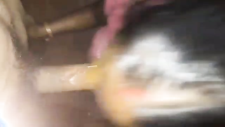 Indian wife likes being filmed even if it takes her to give a blowjob | XXX Video on AllSex.XXX