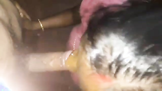 Indian wife likes being filmed even if it takes her to give a blowjob | XXX Video on AllSex.XXX