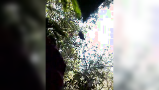 Desi wife can't resist carnal fun with cameraman and makes it outdoors | XXX Video on AllSex.XXX